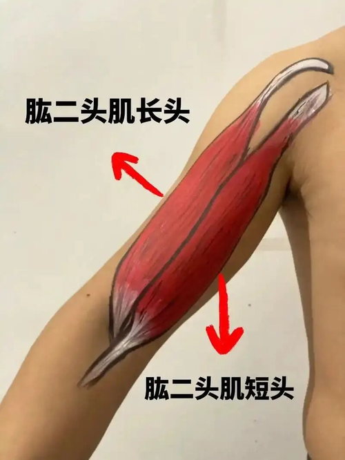 杏和舒筋堂